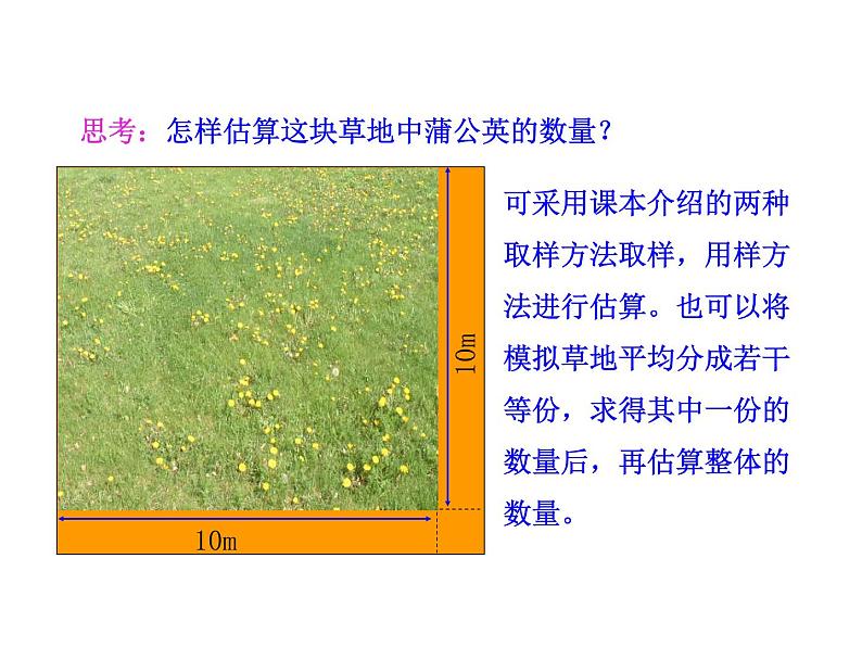 高中生物PPT授课课件（人教版必修3）4.1种群的特征03