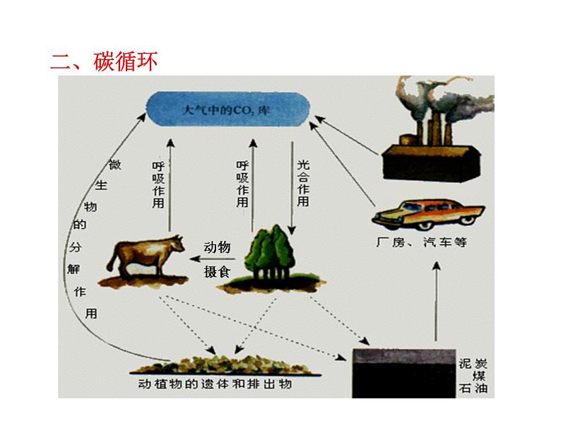 高中生物PPT授课课件（人教版必修3）5.3生态系统的物质循环07