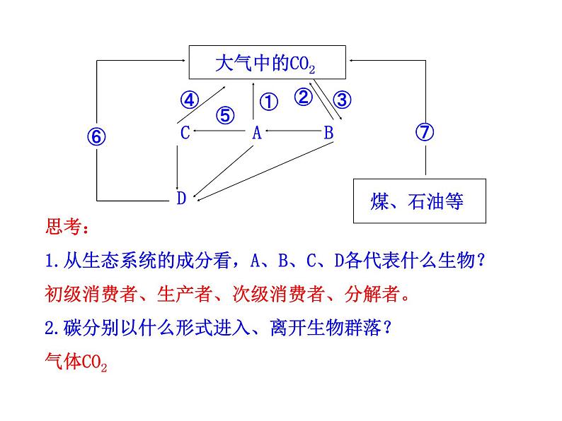 高中生物PPT授课课件（人教版必修3）5.3生态系统的物质循环08