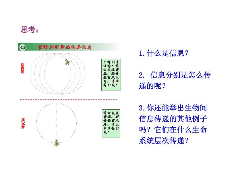 高中生物PPT授课课件（人教版必修3）5.4生态系统的信息传递05