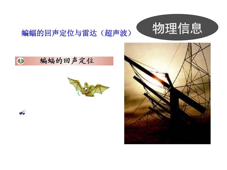 高中生物PPT授课课件（人教版必修3）5.4生态系统的信息传递07