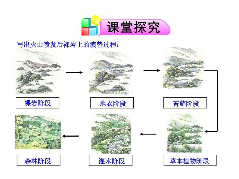 高中生物PPT授课课件（人教版必修3）4.4群落的演替04