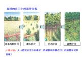 高中生物PPT授课课件（人教版必修3）4.4群落的演替