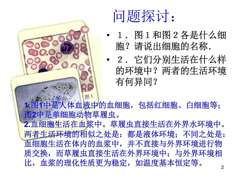 必修3 稳态与环境1.1细胞生活的环境(1) 课件02