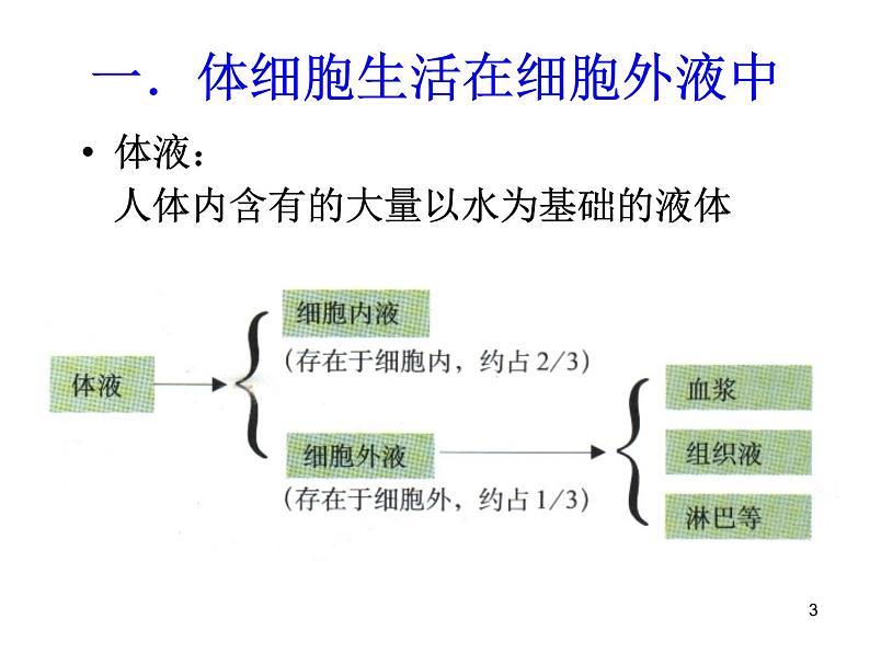 必修3 稳态与环境1.1细胞生活的环境(1) 课件03