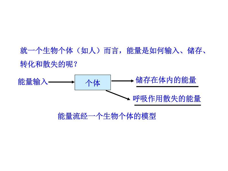 高中生物PPT授课课件（人教版必修3）5.2生态系统的能量流动04