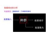 高中生物PPT授课课件（人教版必修3）5.2生态系统的能量流动