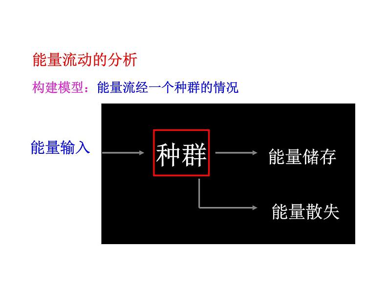 高中生物PPT授课课件（人教版必修3）5.2生态系统的能量流动05