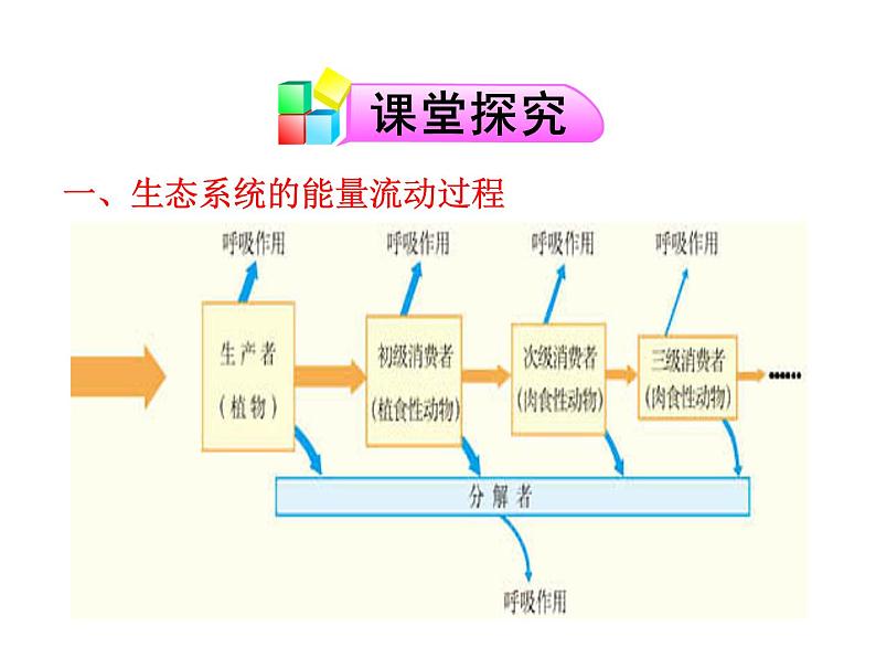 高中生物PPT授课课件（人教版必修3）5.2生态系统的能量流动06