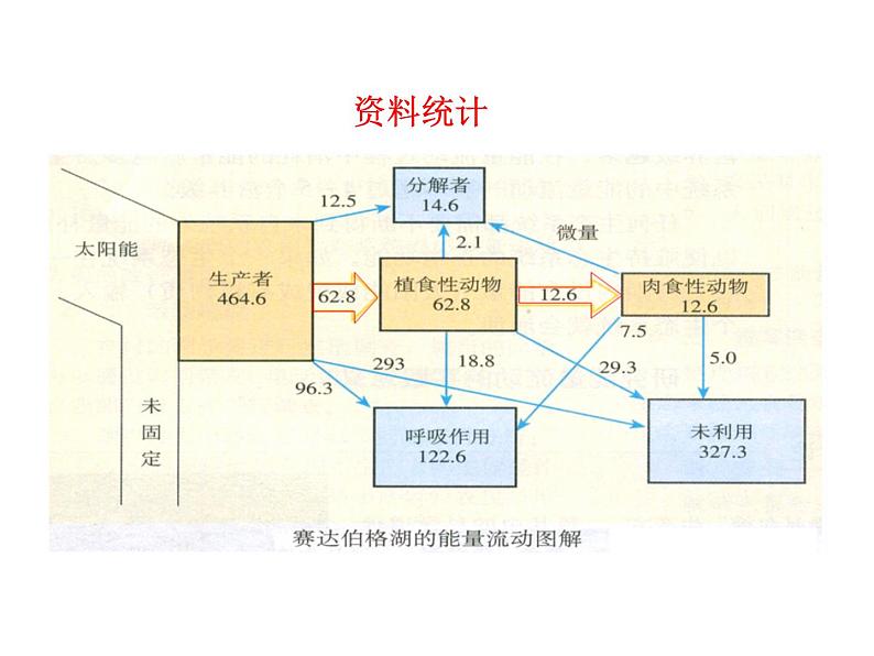 高中生物PPT授课课件（人教版必修3）5.2生态系统的能量流动07