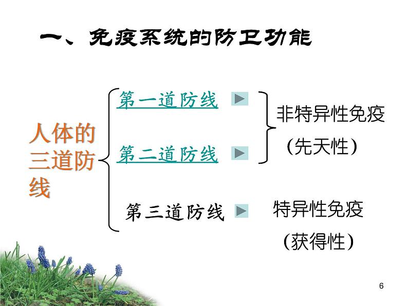 必修3 稳态与环境2.4免疫调节（第一课时） 课件06