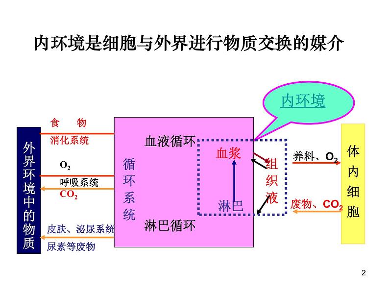 必修3 稳态与环境1.2内环境稳态的重要性 课件02