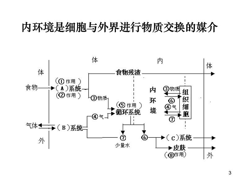 必修3 稳态与环境1.2内环境稳态的重要性 课件03