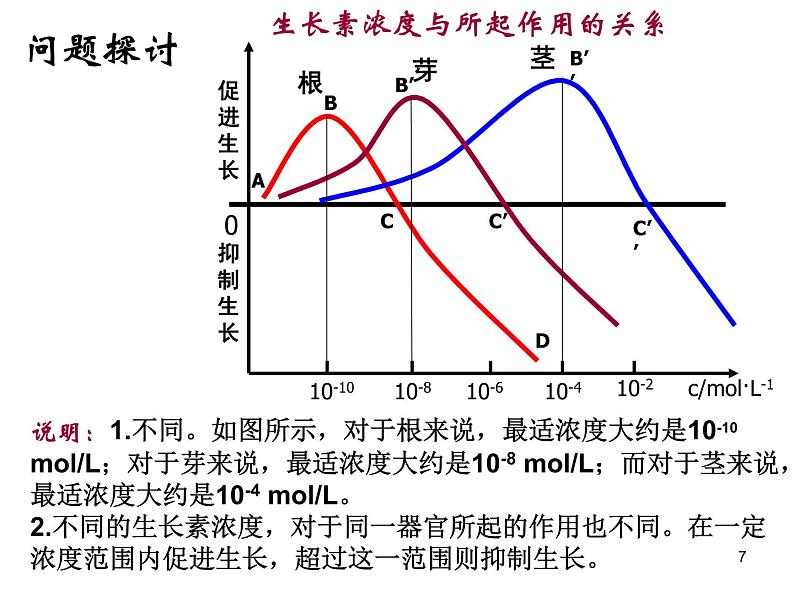 必修3 稳态与环境3.2生长素的生理作用(28张) 课件07