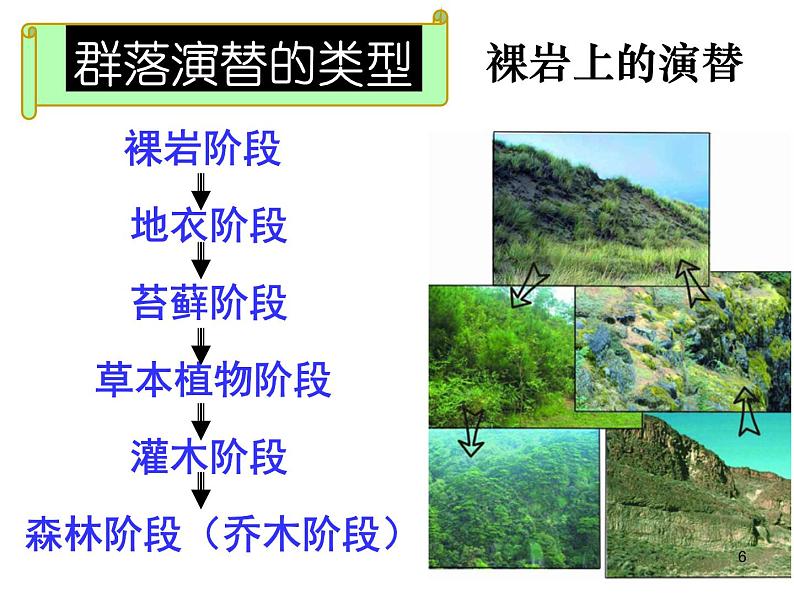 必修3 稳态与环境4.4 群落的演替（34张） 课件06