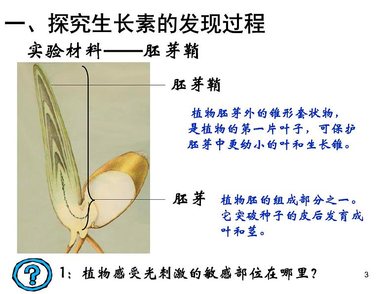 必修3 稳态与环境3.1植物生长素的发现(24张) 课件03