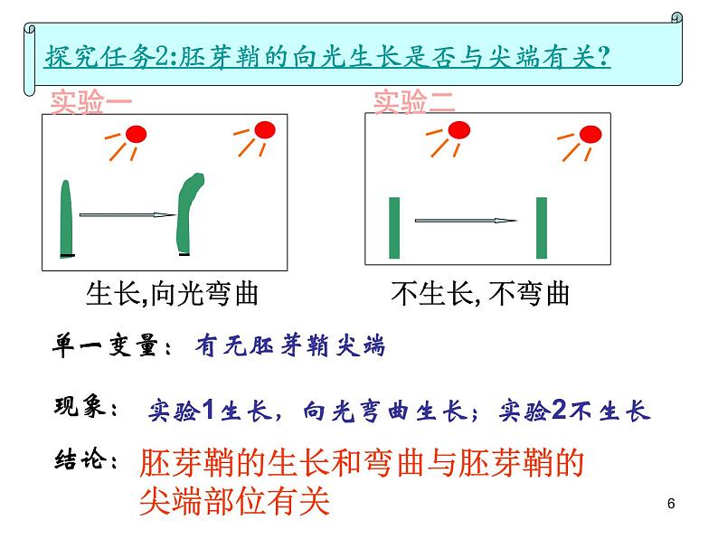 必修3 稳态与环境3.1植物生长素的发现(24张) 课件06