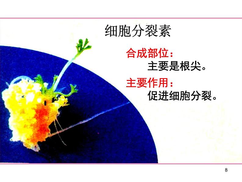 必修3 稳态与环境3.3其他植物激素(39张) 课件08