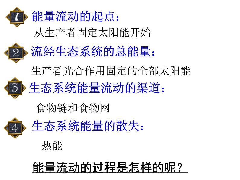 必修3 稳态与环境5.2生态系统的能量流动（33张） 课件07