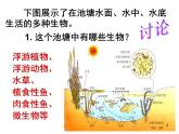 必修3 稳态与环境4.3 群落的结构（47张） 课件