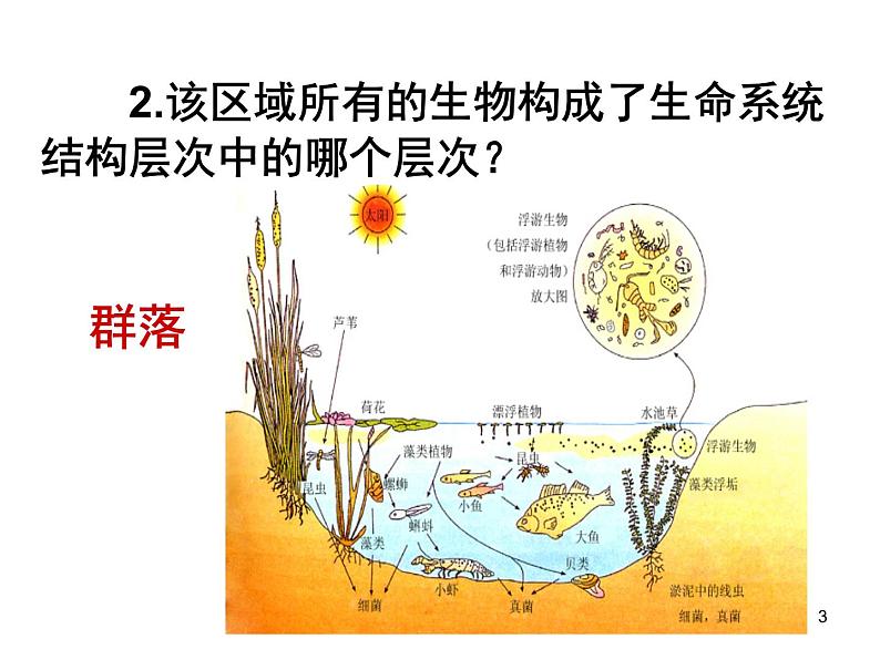 必修3 稳态与环境4.3 群落的结构（47张） 课件03