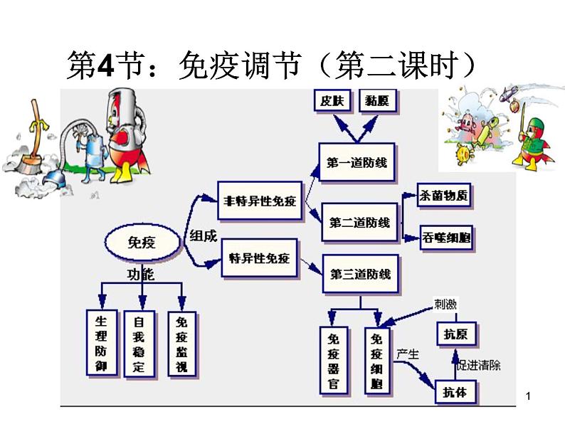 必修3 稳态与环境2.4免疫调节（第二课时） 课件01