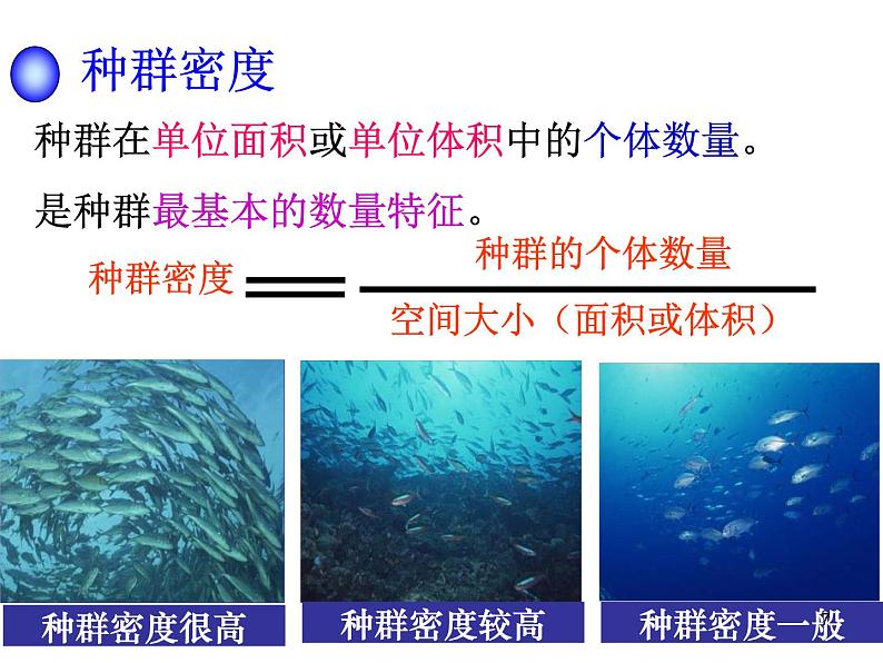 必修3 稳态与环境4.1 种群的特征（35张） 课件07