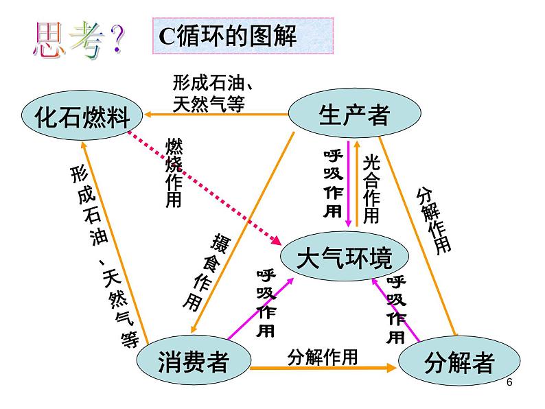 必修3 稳态与环境5.3生态系统的物质循环（30张） 课件06