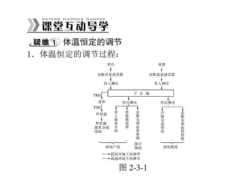 新人教版生物必修三：2.3《神经调节与体液调节的关系》ppt课件（31页）08