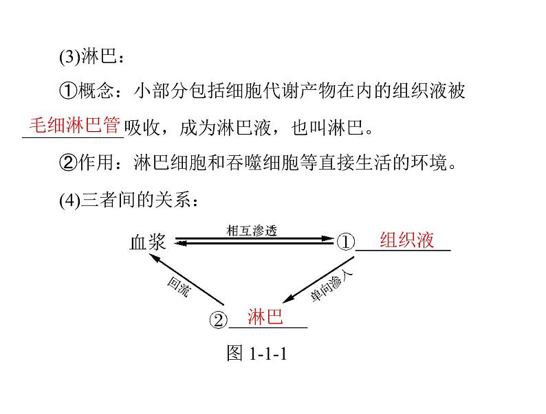 新人教版生物必修三：1.1《细胞生活的环境》ppt课件（37页）04