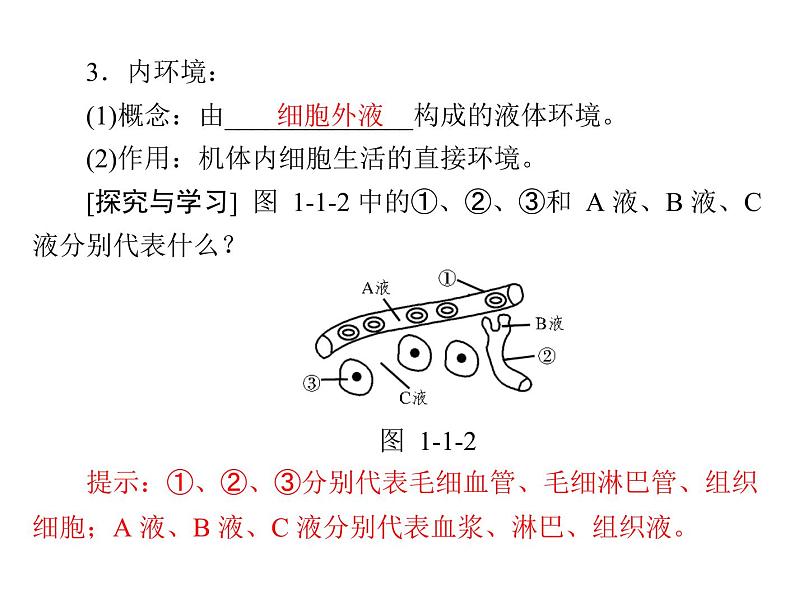 新人教版生物必修三：1.1《细胞生活的环境》ppt课件（37页）05