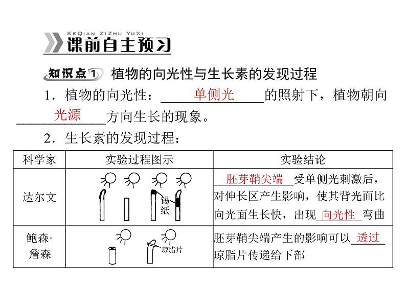 新人教版生物必修三：3.1《植物生长素的发现》ppt课件（35页）02