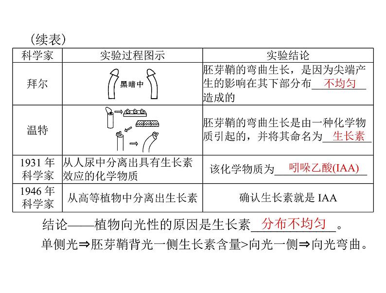 新人教版生物必修三：3.1《植物生长素的发现》ppt课件（35页）03