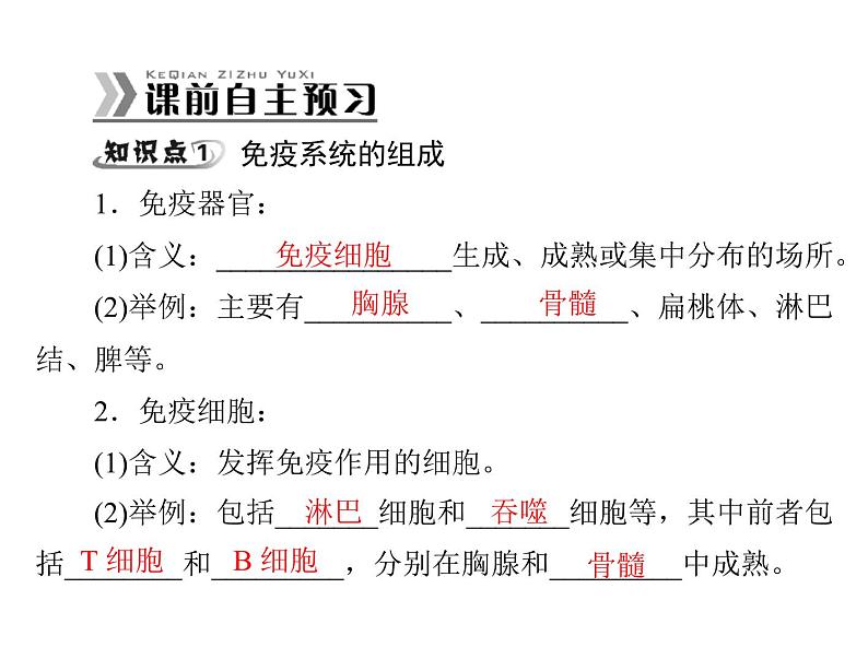 新人教版生物必修三：2.4《免疫调节》ppt课件（40页）02