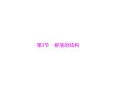 新人教版生物必修三：4.3《群落的结构》ppt课件（47页）