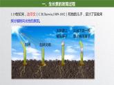 5.1 植物生长素 课件