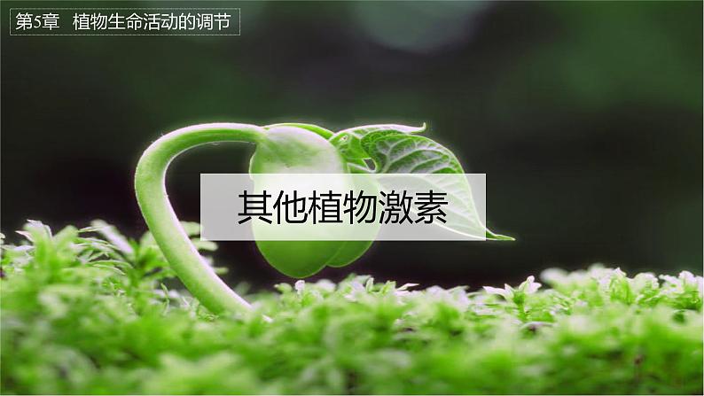 5.2 其他植物激素 课件01