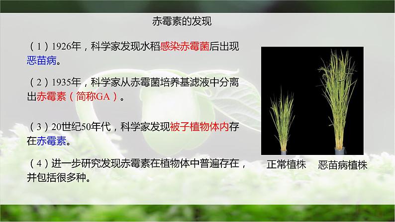 5.2 其他植物激素 课件03