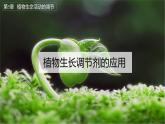 5.3 植物生长调节剂的应用 课件
