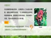 5.3 植物生长调节剂的应用 课件