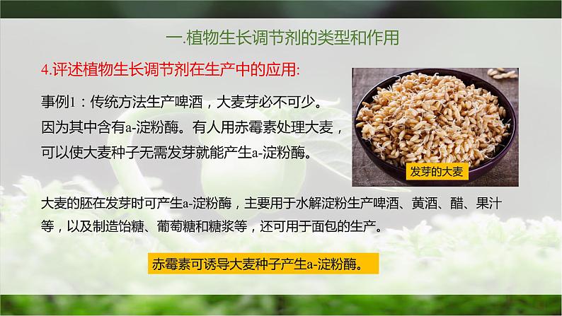 5.3 植物生长调节剂的应用 课件第5页