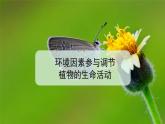 5.4 环境因素参与调节植物的生命活动 课件
