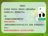 5.4 环境因素参与调节植物的生命活动 课件
