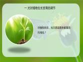 5.4 环境因素参与调节植物的生命活动 课件