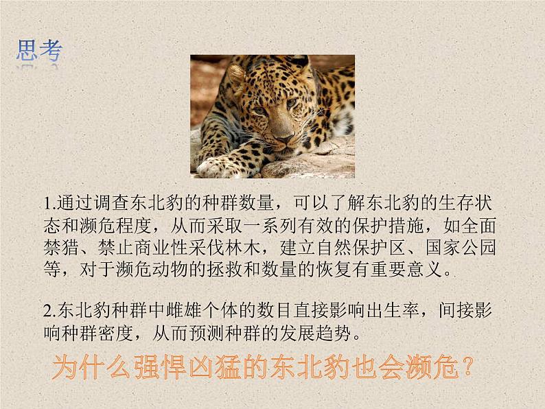 1.1种群的数量特征 课件第3页