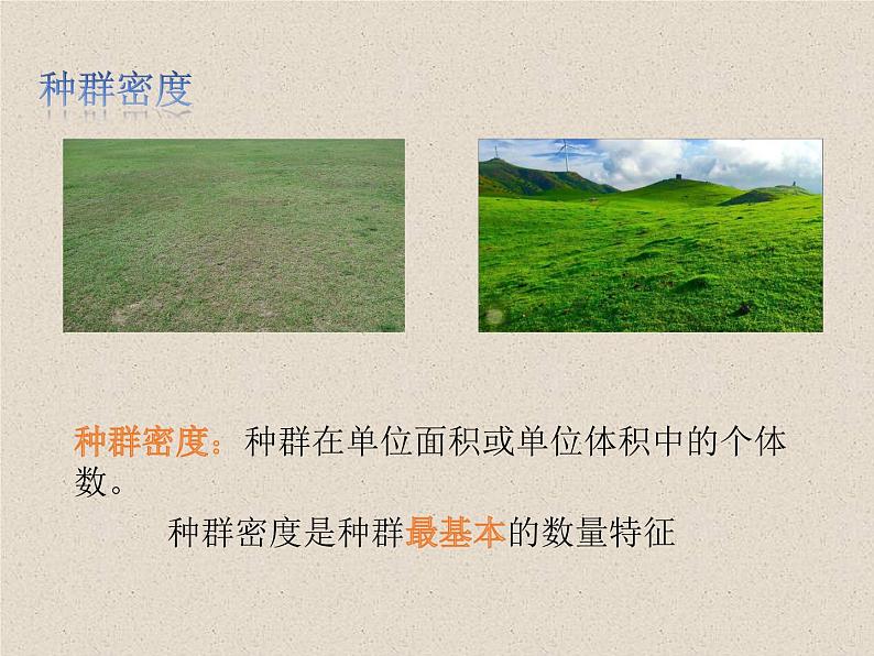 1.1种群的数量特征 课件第4页