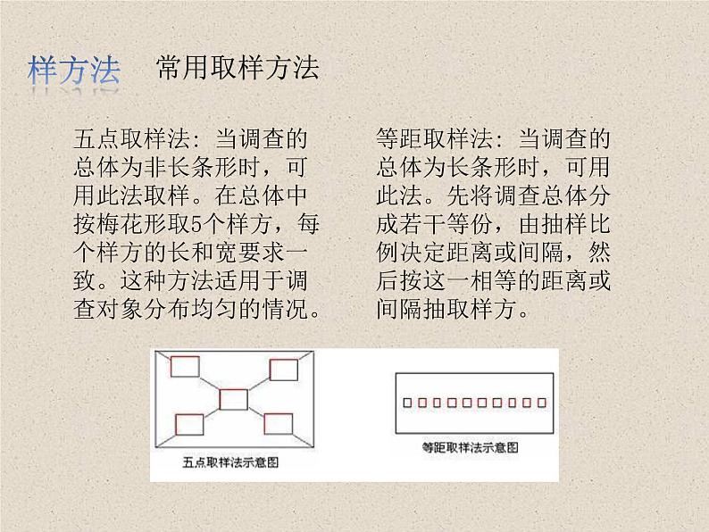 1.1种群的数量特征 课件第8页
