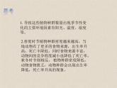 1.3影响种群数量变化的因素 课件