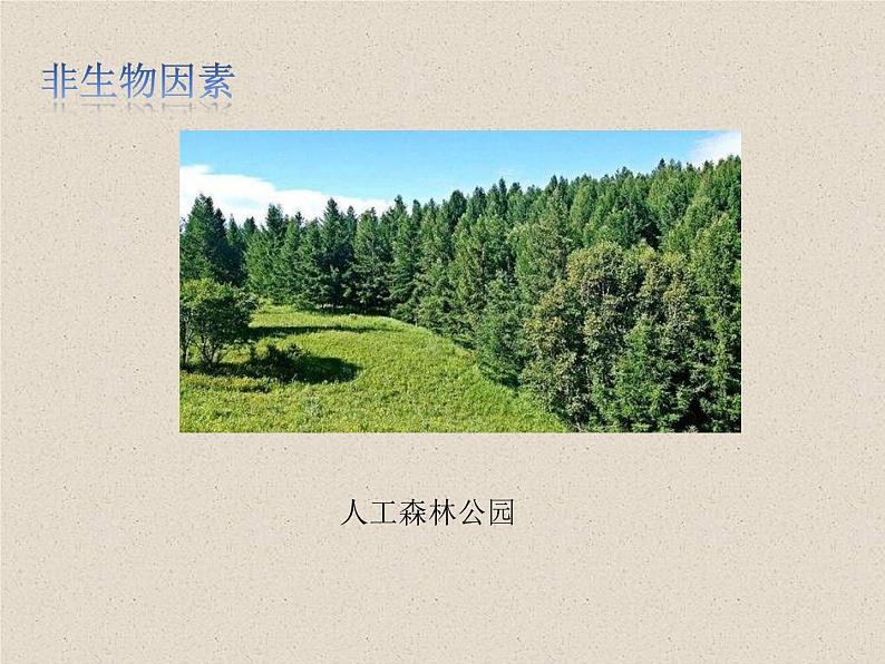 1.3影响种群数量变化的因素 课件第4页