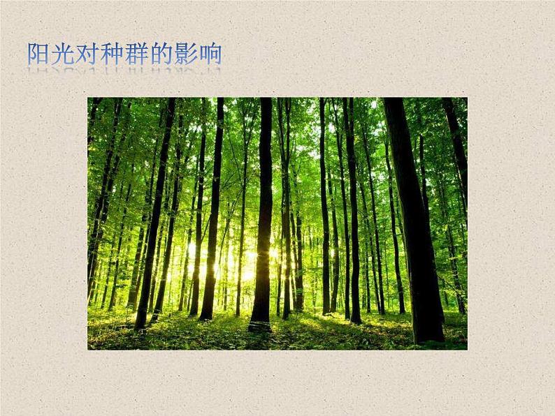 1.3影响种群数量变化的因素 课件第7页